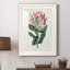 Protea N13 - Peinture encadrée-841114260-841114261