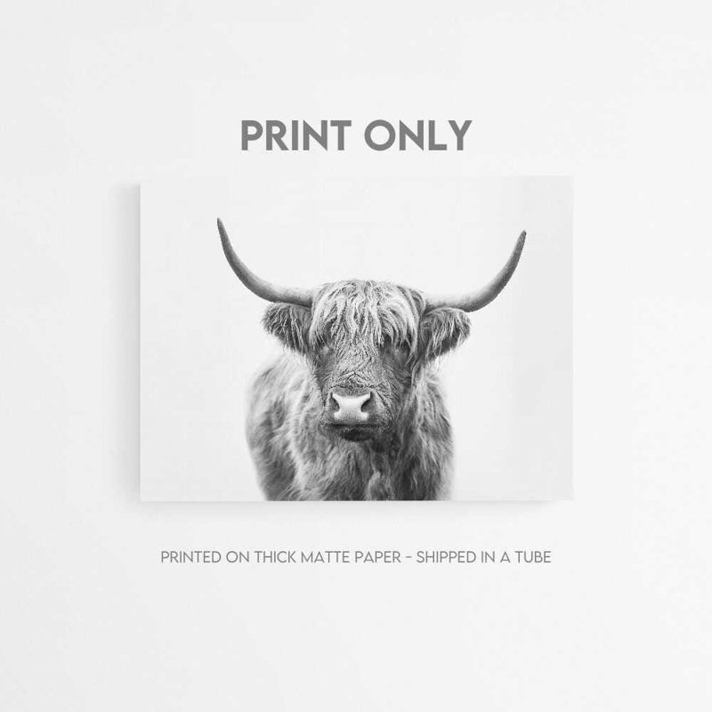 Art mural Highland Cow, H 12 po x l 16 po, Ne s’applique pas, Impression sans cadre