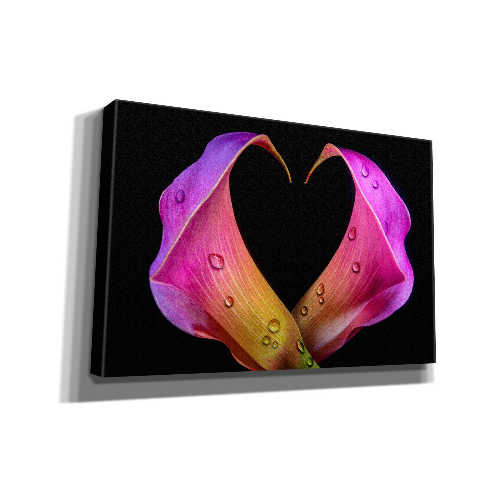 Latitude Run® Ozkar Calla Lily 07 On Canvas by Gordon Semmens Print |  Wayfair
