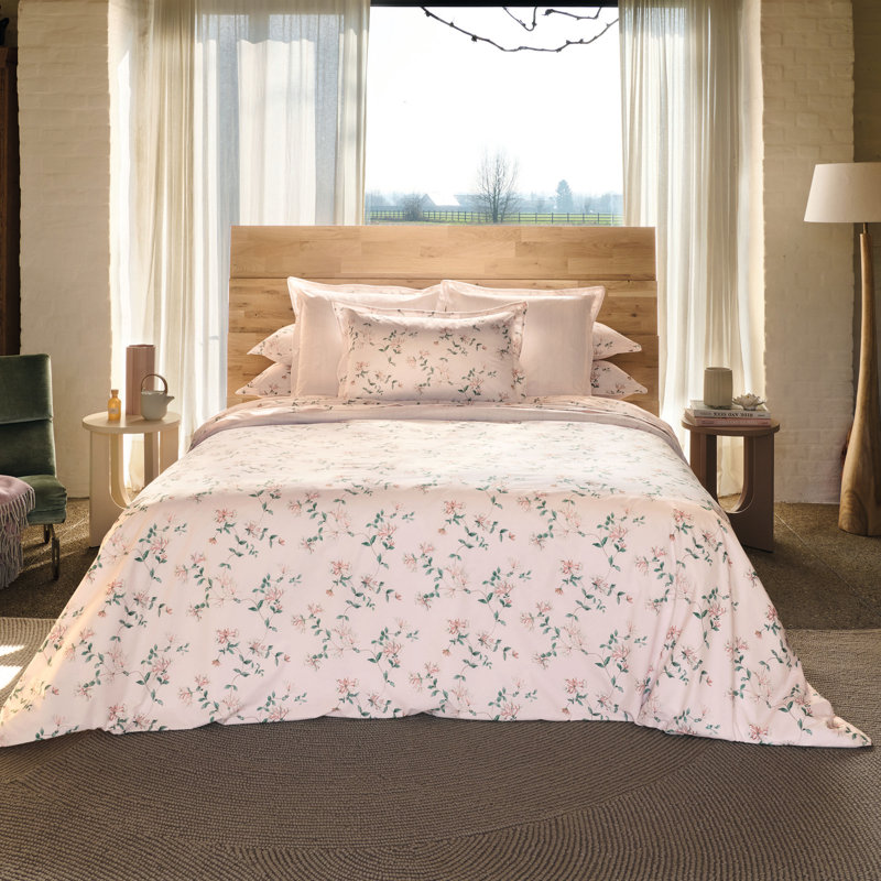 Nature Standard sham, Euro