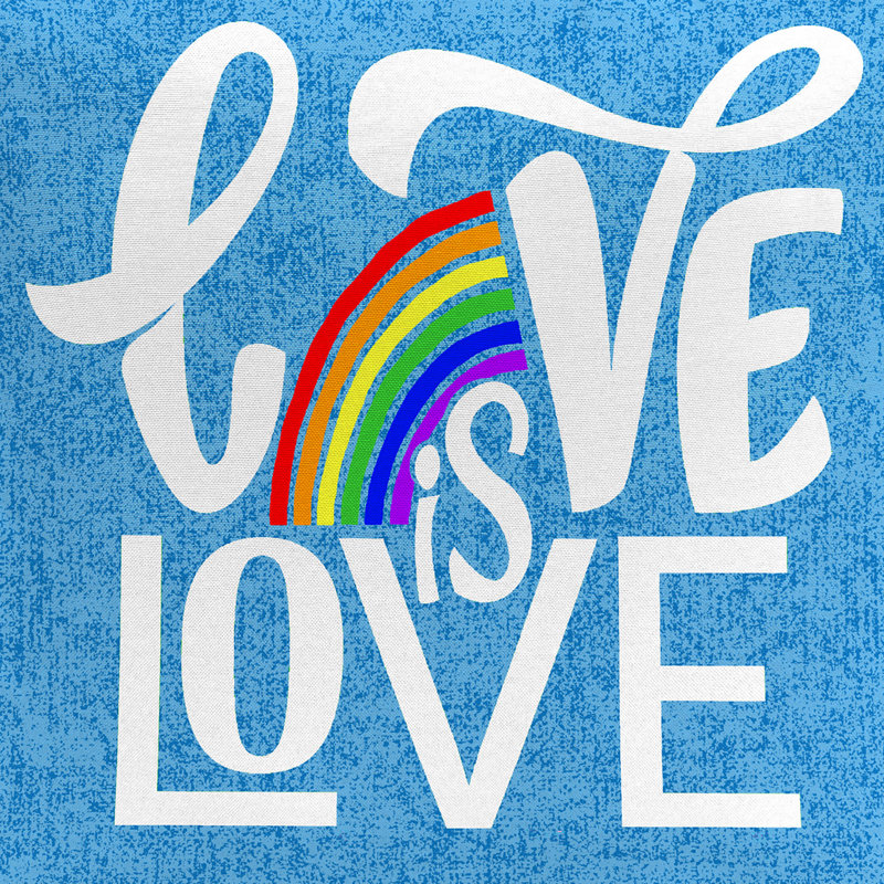16" x 16" Outdoor Throw Pillow with Welt, Love is Love Reversible