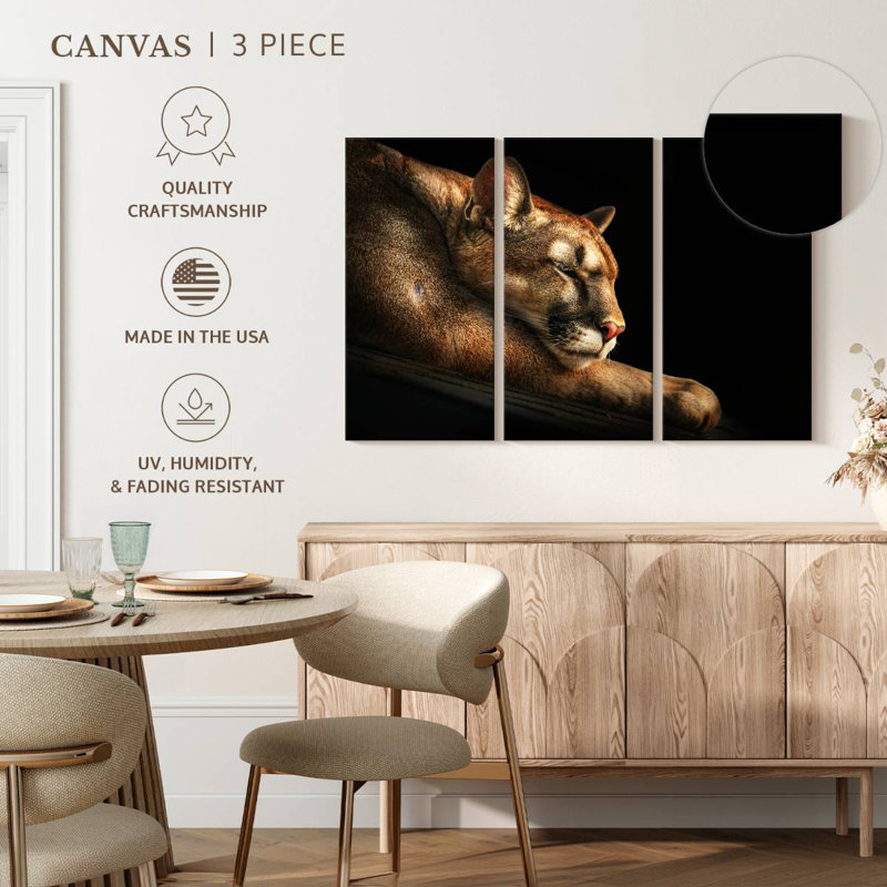 Cougar Brampt endormi, H 28 po x l 45 po