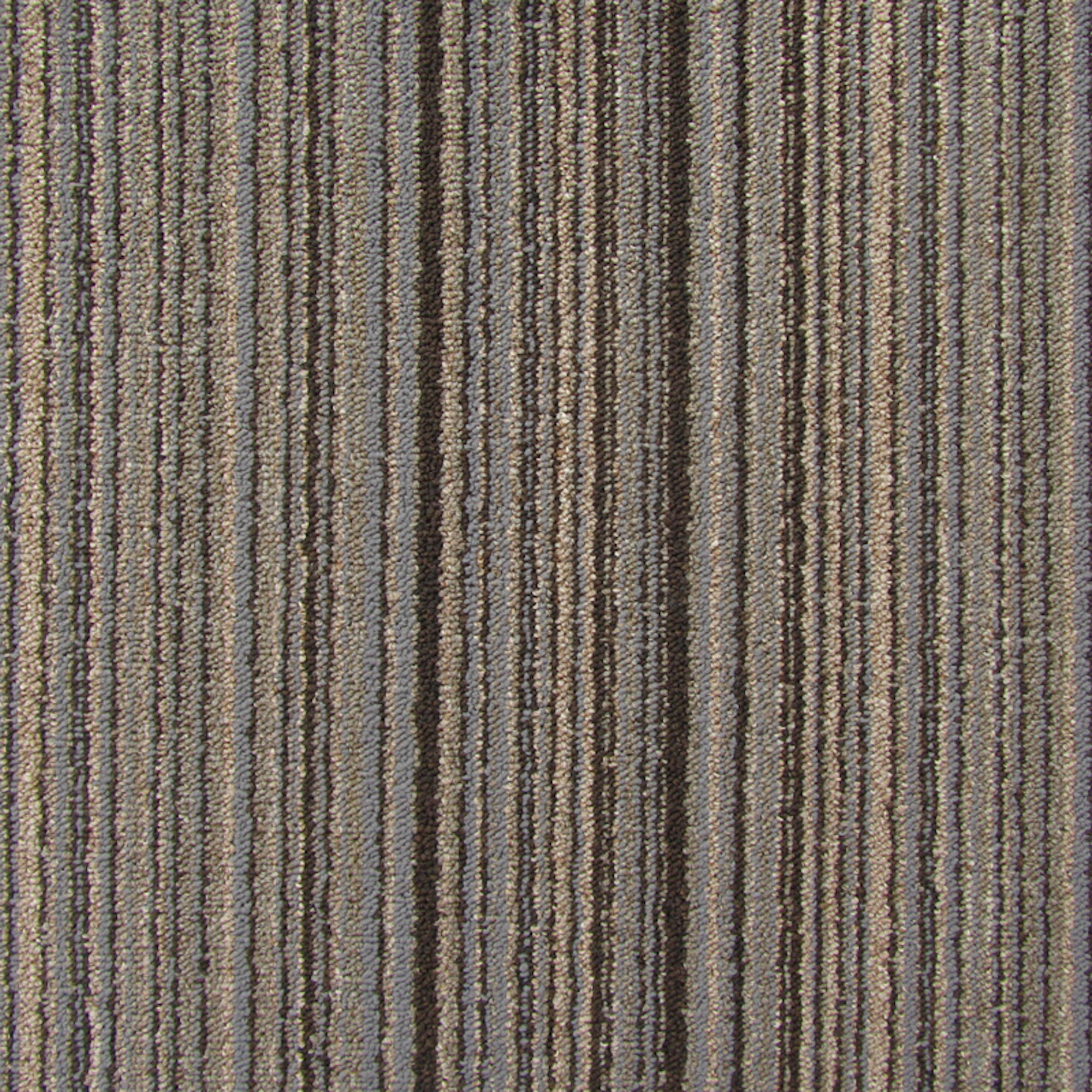 https://assets.wfcdn.com/im/80755067/compr-r85/1011/101198229/parallels-versatile-carpet.jpg