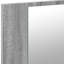 Metro Lane LED Bathroom Mirror Cabinet 80X12x45 Cm Acrylic-397423713-336030530