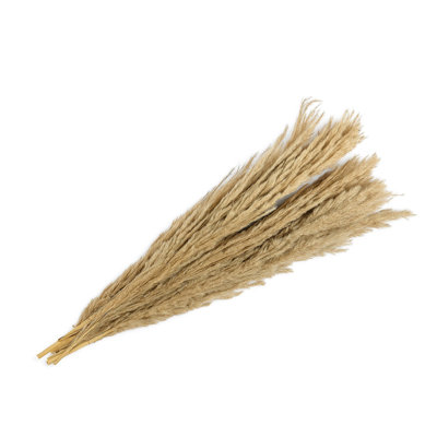 Long Natural Everlasting Dried Plants Bunch
