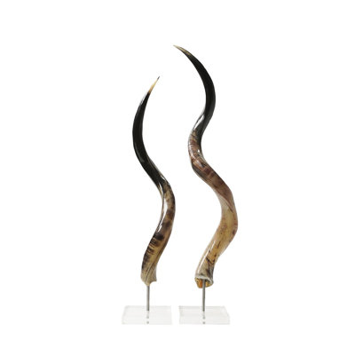 Polished Kudu Horn on Lucite Stand