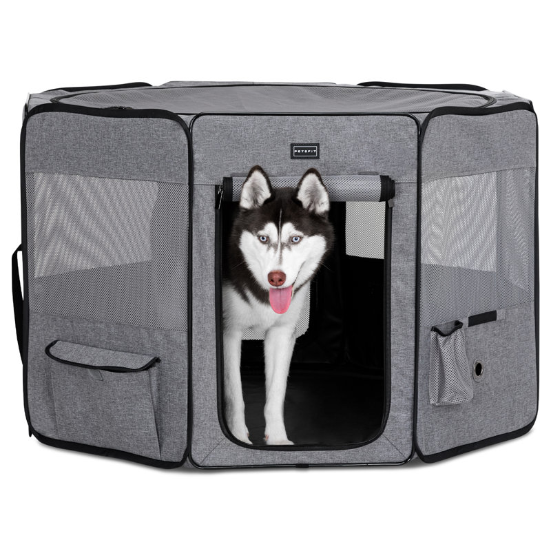 Caisse pour animaux amovible, Moyen (H 28,5 po x l 41,5 po x P 41,5 po), Noir / gris
