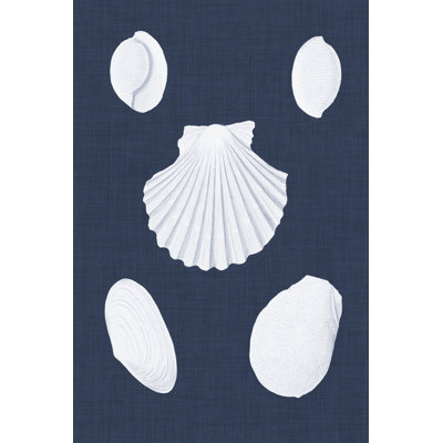 Coquillages Blancs III by Vision Studio - Graphic Art