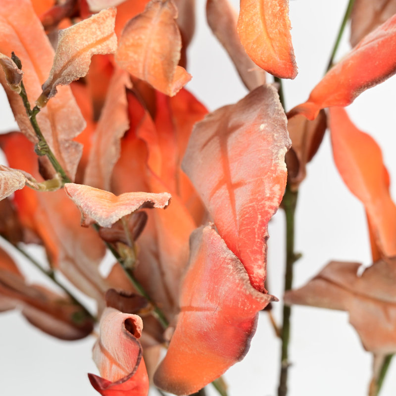 Branches de feuilles de pamplemousse 38 po