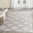 Oddger Geometric Ivory/Silver Area Rug-15994222