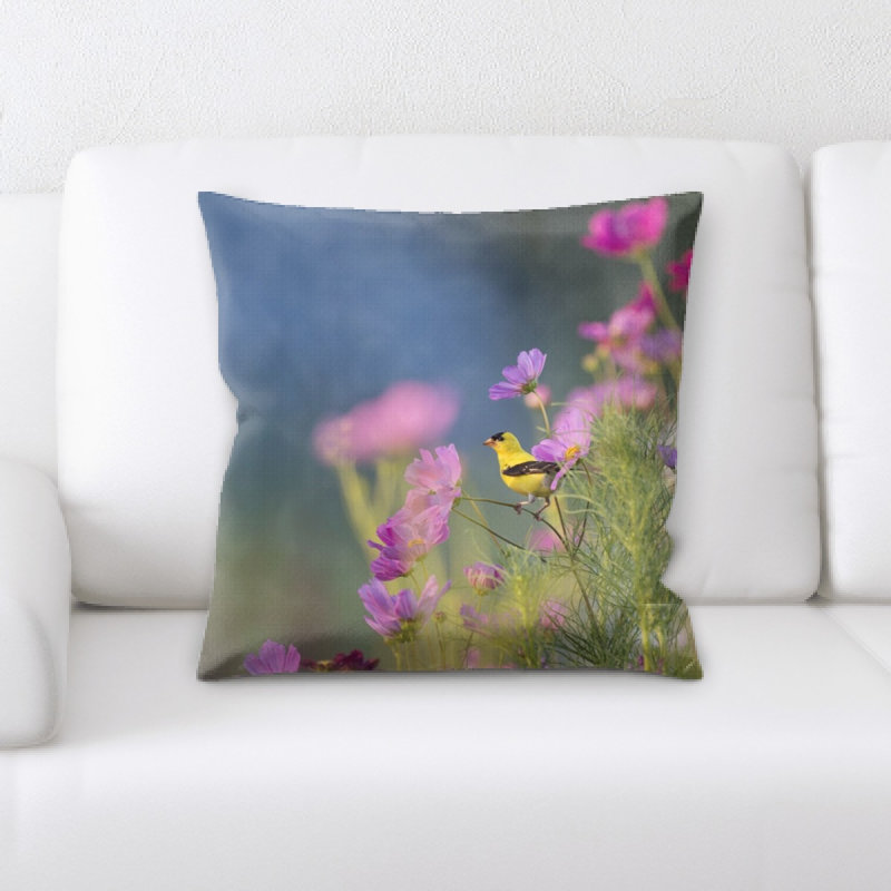 Coussin oiseau