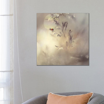 Little Lady by Heidi Westum - Wrapped Canvas Print