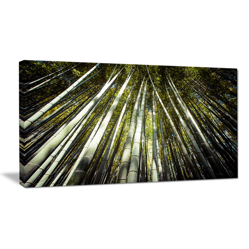 «Long Bamboos in Bamboo Forest», reproduction de photo sur toile tendue, H 20 po x l 40 po x P 1po