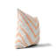 Coussin Zebra-107834661-107834666