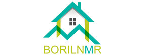 BORILNMR Logo