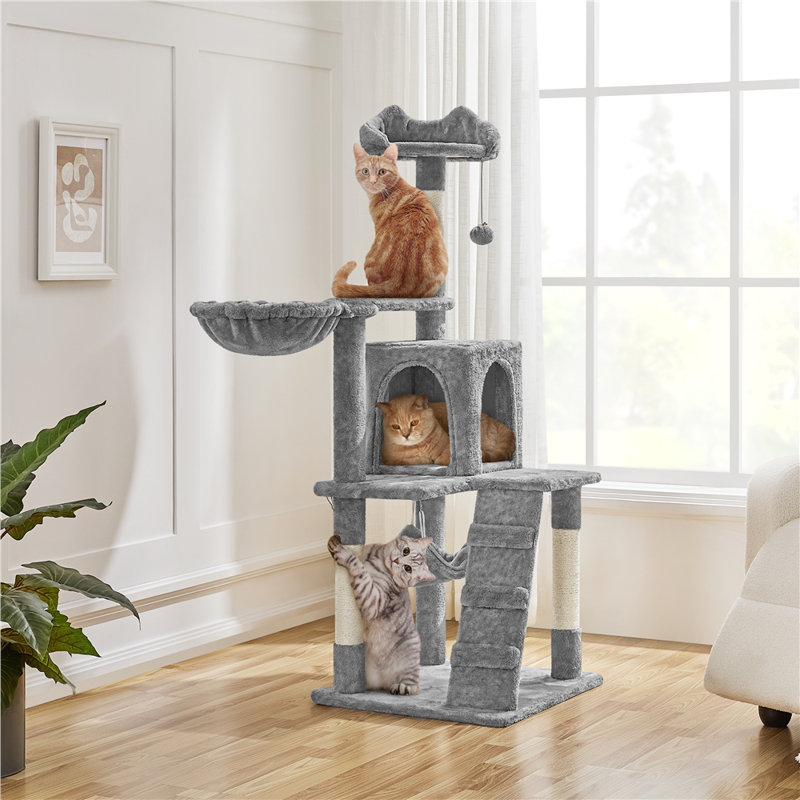 Arbre à chat Sievers, Gris clair