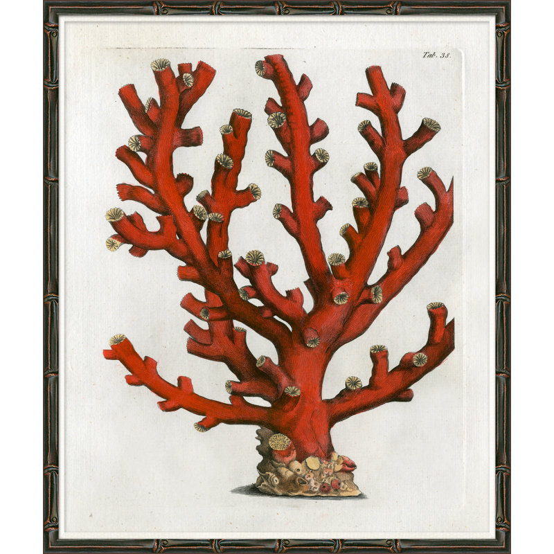 Red Coral III Giclee Print by Soicher Marin Archives
