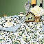 Nappe 100% coton faite à la main-2124732852-2124732859