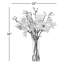 Tree Magnolia In Vase