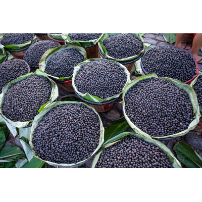 Fresh Acai Berries - Wrapped Canvas Print