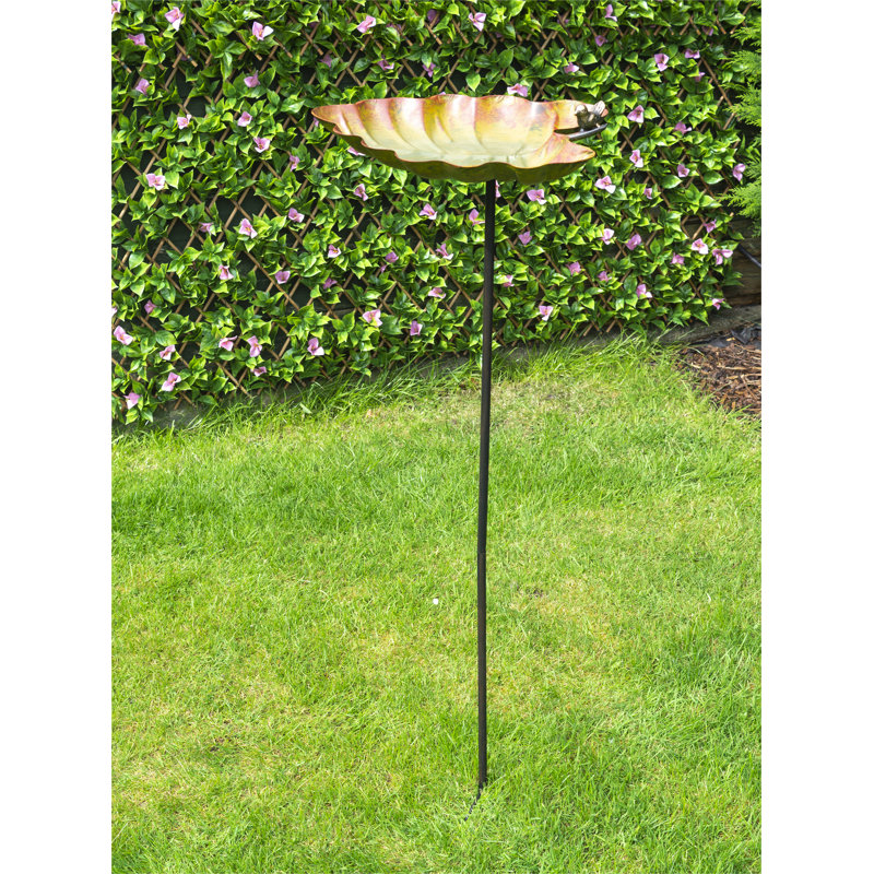 Aviara freestanding Bird  Bath and Feeder