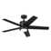 Bhram 48'' Ceiling Fan with LED Lights