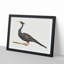 Water Bird by Johan Teyler - Picture Frame Art Print-55761619-55761623
