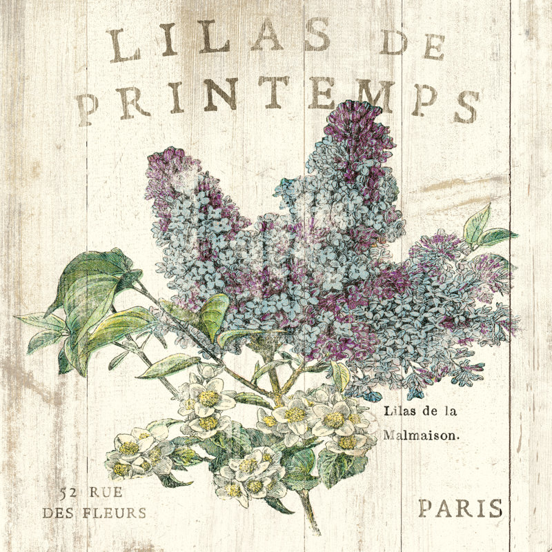 Lilas De Printemps by Sue Schlabach - Painting Print, Black Floater Framed, 46cm H x 30cm W