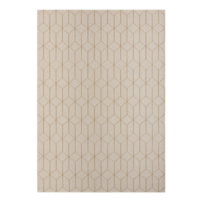 Indoor/Outdoor Trellis Area Rug