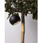 Venedo LED Outdoor Hanging Lantern