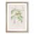 Oak Framed selected