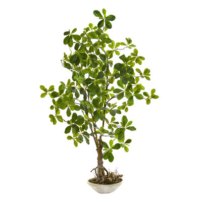 48'' Faux Bonsai Tree in Stone Pot