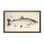 Silver Salmon Print-957647780