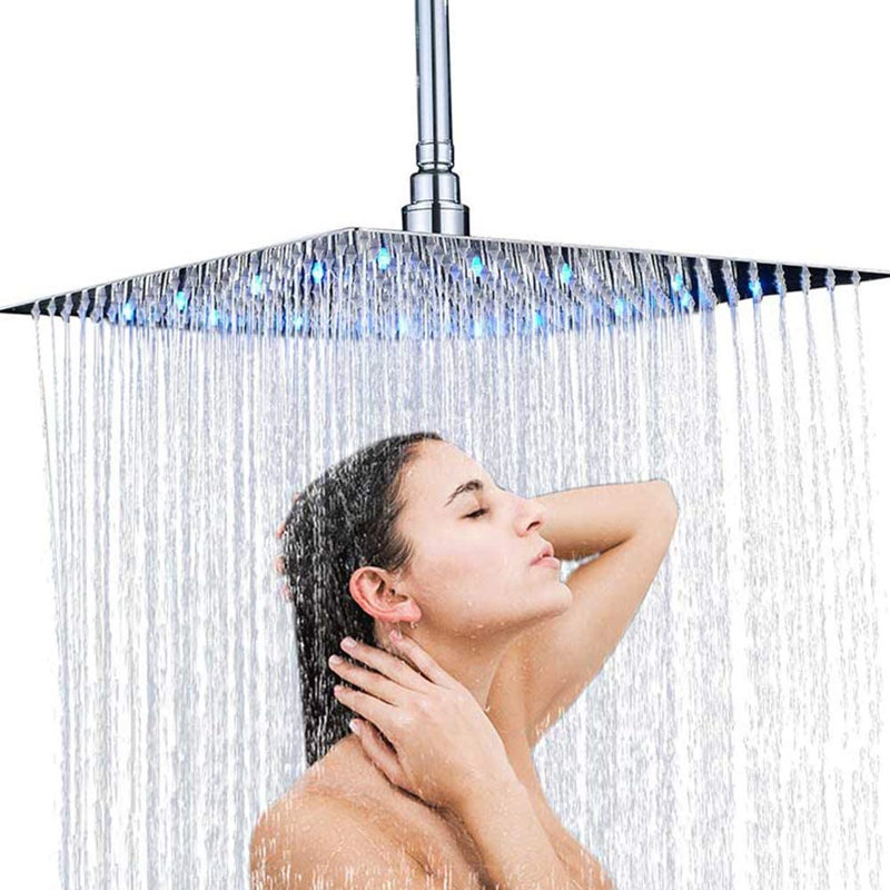 Rain Dual Shower Head 2.5 GPM GPM