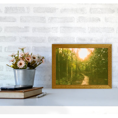 Autumn Wood - Print on Canvas