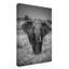 « singularité éléphant », reproduction de photo sur toile tendue-2073292383