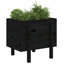 Meenakshi Wood Raised Garden Bed-1774958731-1774958770-1774958768