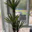 Photos des clients 1 de 2