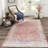 Oriental Indoor Rug-698824989