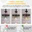 Wedowee 1 - Light Chandelier