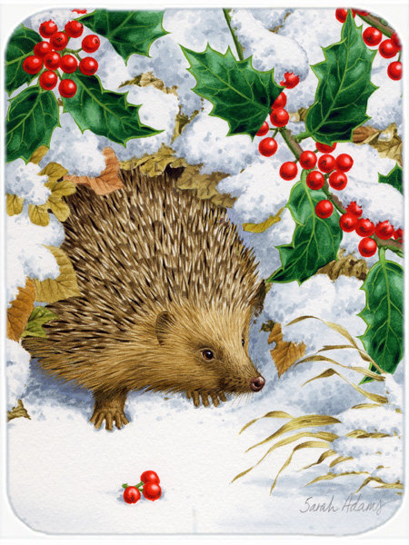 Planche à découper en verre caroline et en verre holly Hedgehog