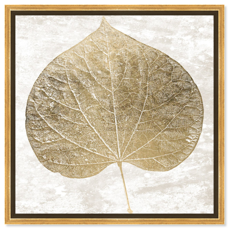 «Cercis Gold Leaf - Floater», impression encadrée sur toile, H 24 po x l 24 po, Cadre flottant doré
