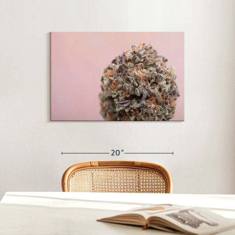Bourgeon de marijuana, H 16 po x l 24 po