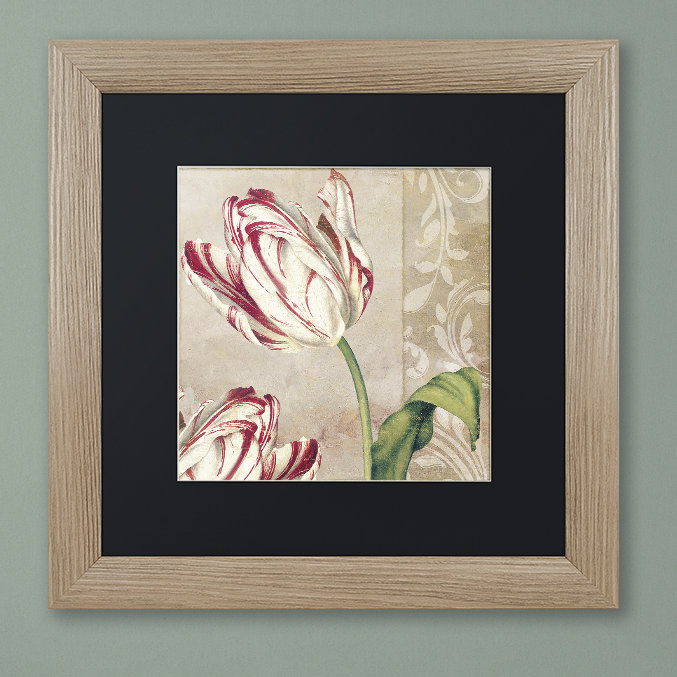 «Peppermint Tulips I» par Jadaya, impression encadrée, Noir, H 16 po x l 16 po x P 0,5 po, Toile avec cadre brun