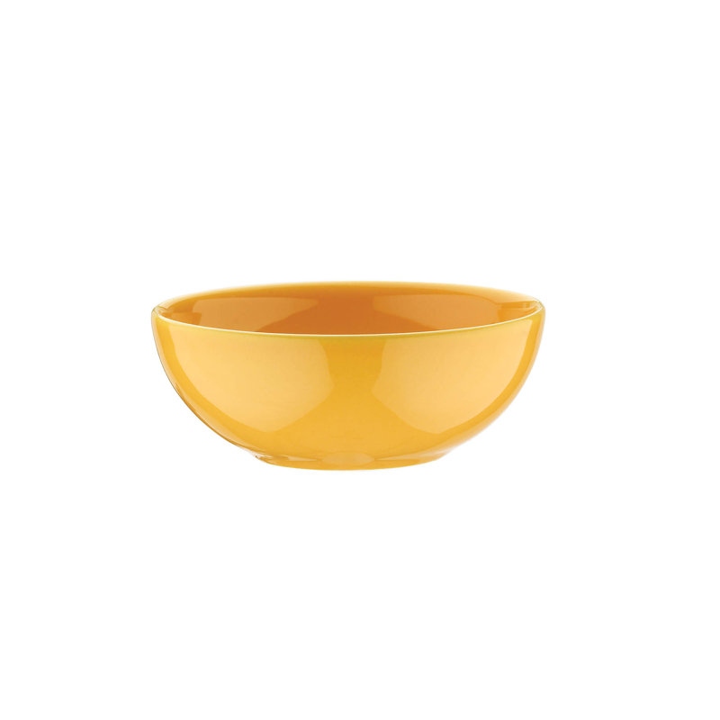 Piece Dinnerware Set