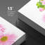 Flower Blossom «Neon Pink Vibrant Gerbera Daisy Flowers» sur-99543396