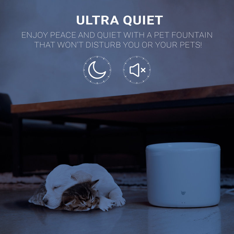 Fontaine pour animaux Instachew Purrflow Smart