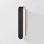 Briarwood 2 Light Wall Sconce