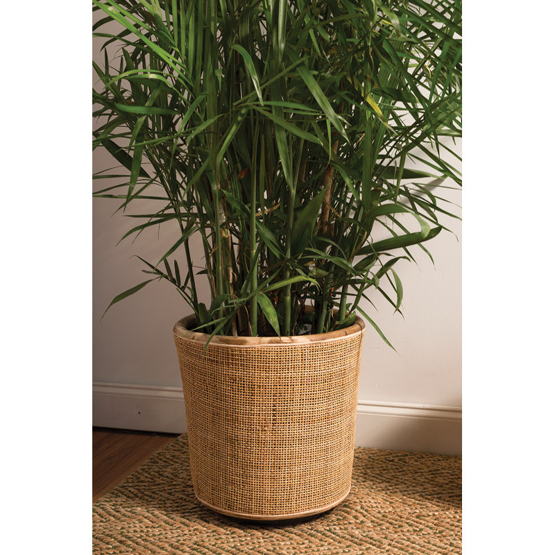 Cache-pot Danny, H 16,5 po x l 16,75 po x P 16,75 po