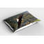Ensemble de 2 taies décoratives Ambesonne Eagle King of Skies-100343208
